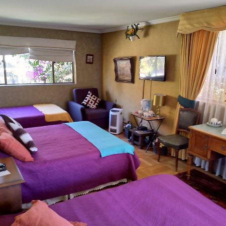 Bed & Breakfast Blumen Haus Сантьяго Экстерьер фото